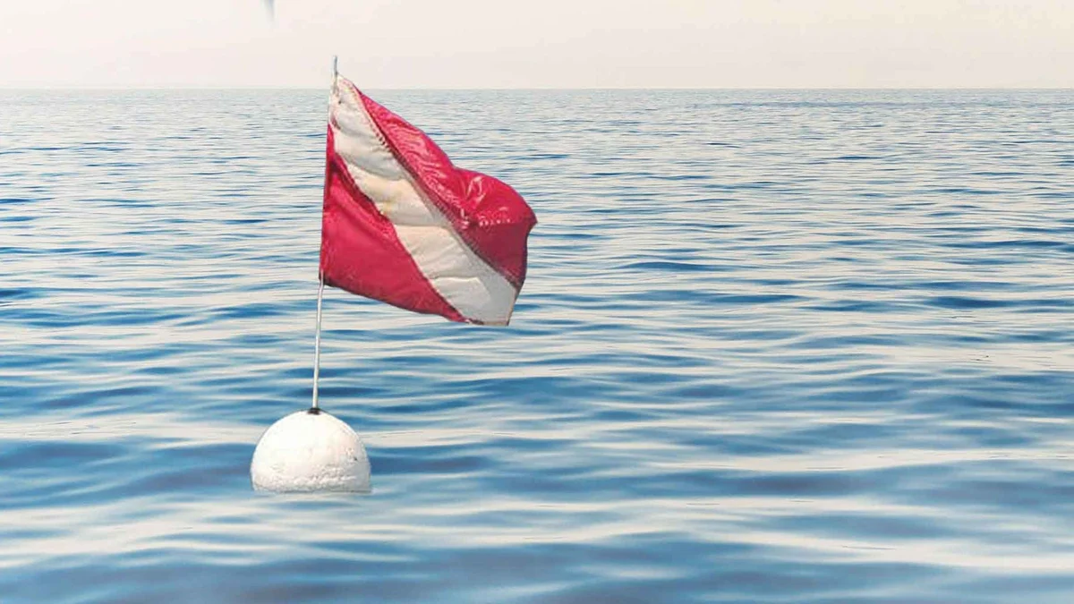 The 300-Foot Rule: Florida's Dive Flag Law and Why It Cuts Both Ways