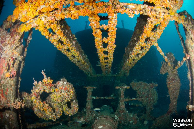 Lady Luck - Multiple pipelines run from bow to stern