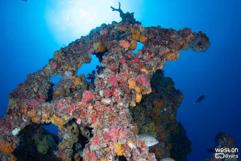 Spiegel Grove - The relief is massive on this wreck