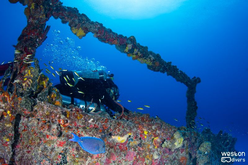 Spiegel Grove - A diver explores one of the upper decks