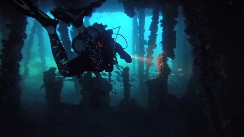 Hog Heaven - A diver explores the interior of the barge