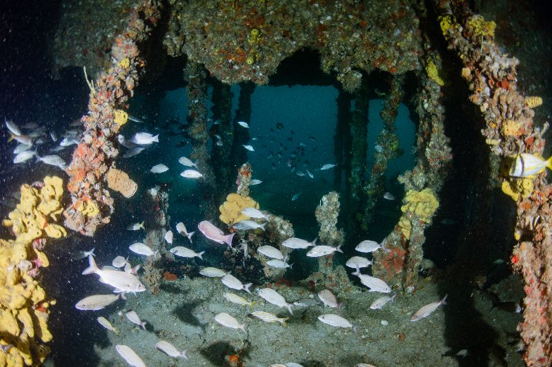 Hog Heaven - A view of the interior of the barge