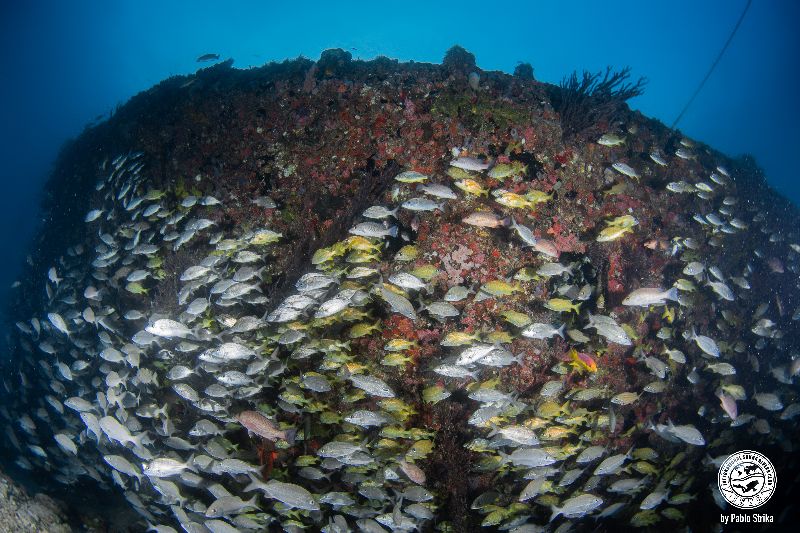 Robert Edmister - The bow view of the wreck