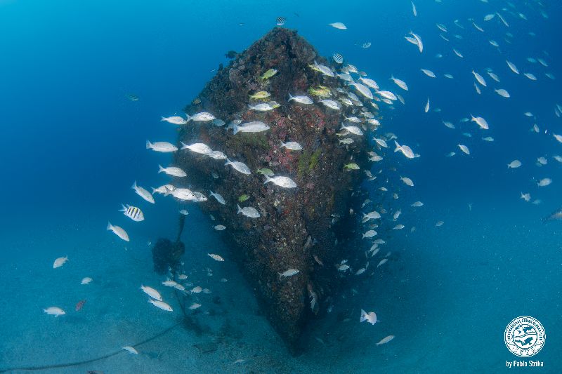 Robert Edmister - View at sand level of the wreck from the bow