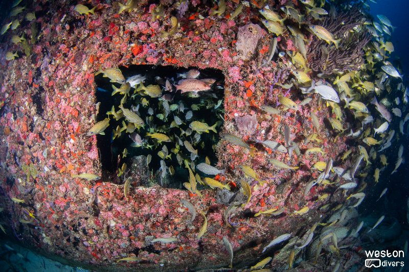 Robert Edmister - The are several openings to penetrate the wreck