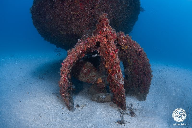 Jay Scutti - View of the stern at sand level