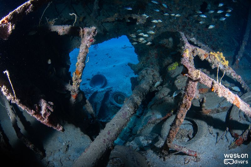 Jay Scutti - The interior of the wreck is full of life