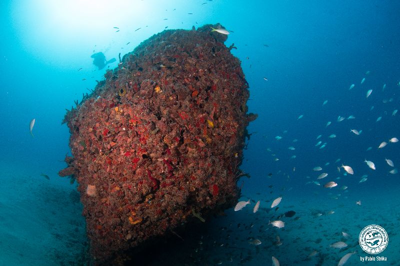 Jay Scutti - A view of the bow at sand level