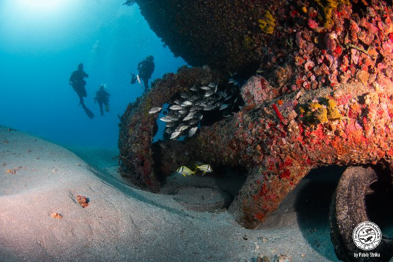 Jay Scutti - Divers explore the propeller