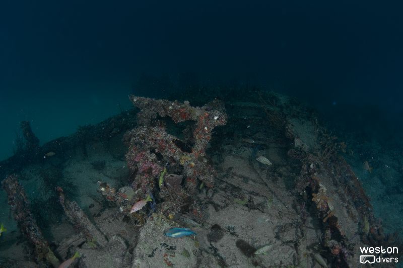 Alpha - The stern section of the bow is pretty much intact