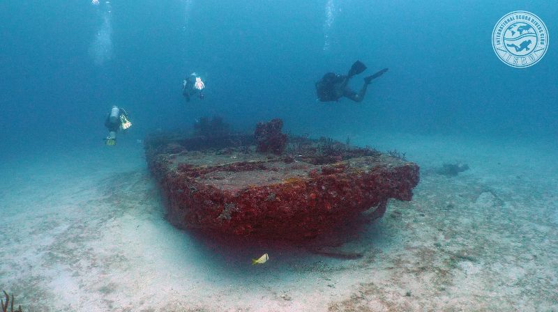 Qualmann Tugs - A bunch of divers swimming over one of the barges