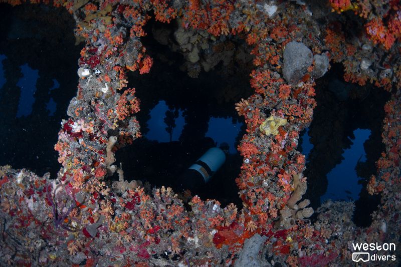 RSB-1 - The bridge is a must visit for all divers