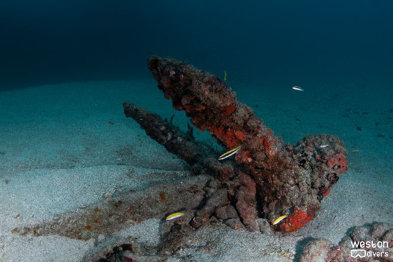 Okinawa - The anchor lies a few feet south east of the wreck