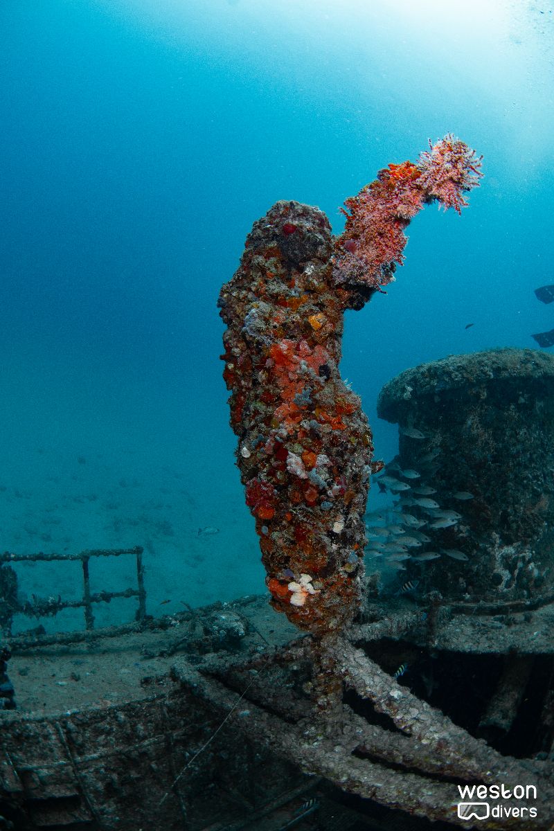 Okinawa - Several art pieces are deployed throughout the wreck