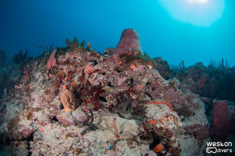 Grouper Bend - There's a very defined ledge facing west on this site