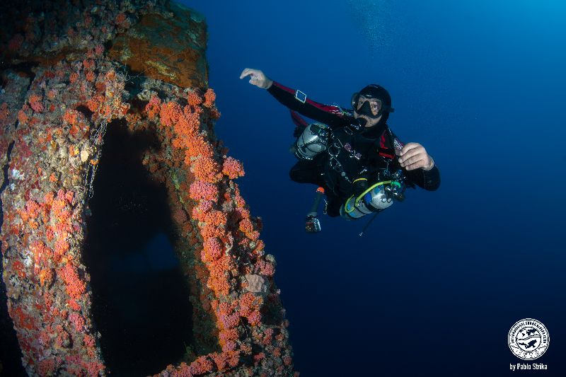 Guy Harvey - A diver hoves near the superstructure