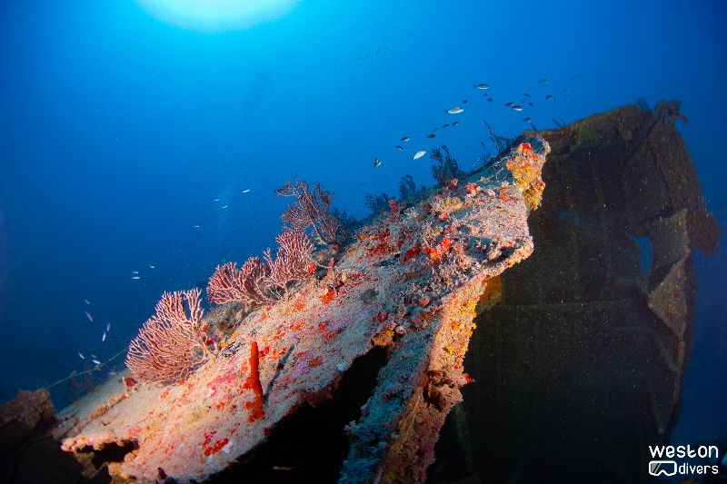 Guy Harvey - The hull of the wreck is broken apart