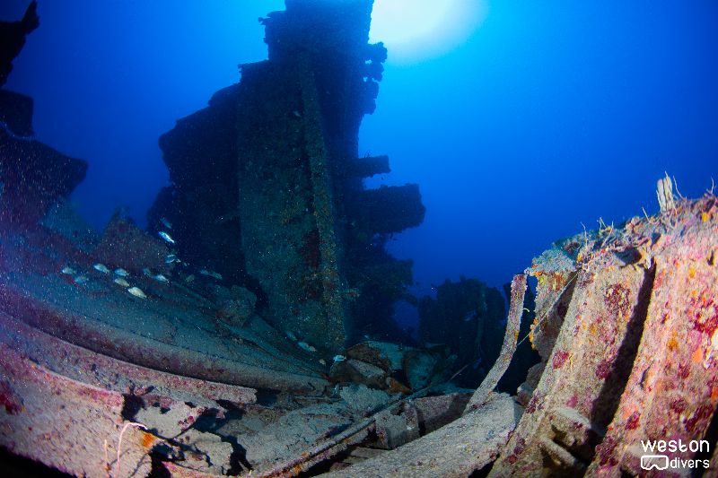 Guy Harvey - The superstructure is tilted to its starboard side