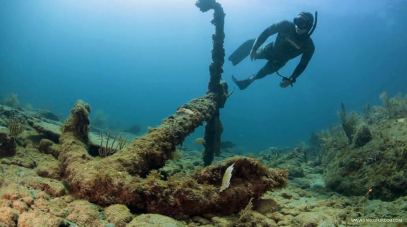 SS Copenhagen - A free diver explores the anchor