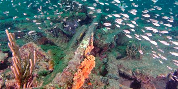 SS Copenhagen - The wreck is mostly broken apart but some artifacts can be recognized