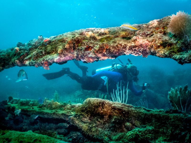 SS Copenhagen - A diver explores the remaining of the wreck
