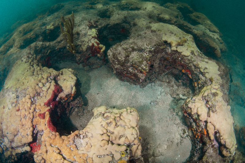 Anglin's Pier First Ledge - Another view of the Swiss cheese formations