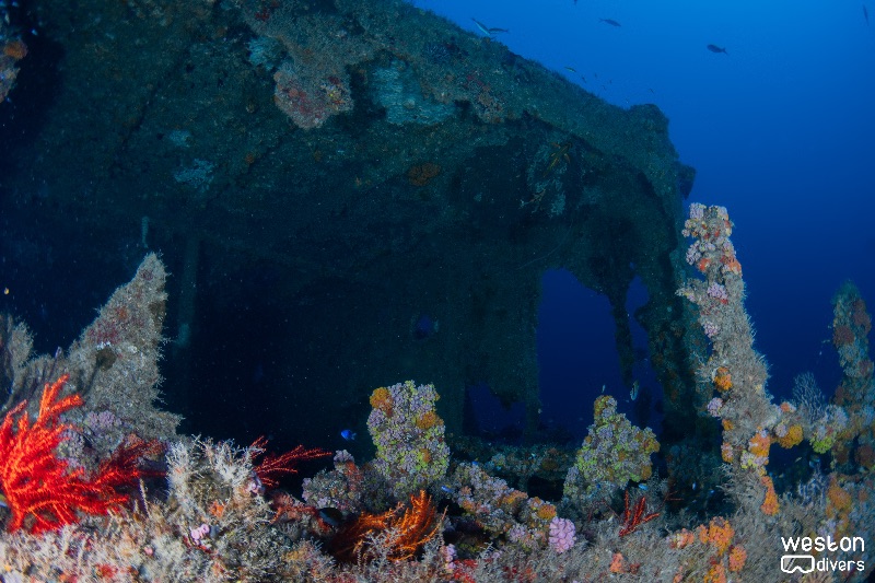 Lowrance - Part of the wheelhouse structure