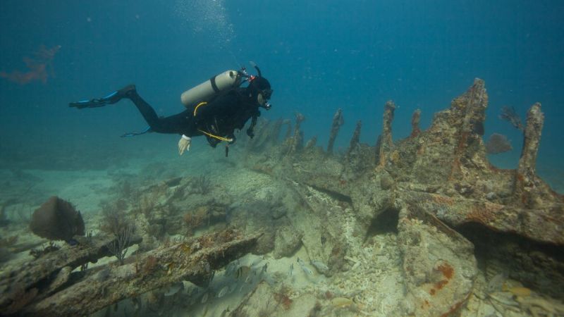 City of Washington - A diver explores the flat wreck