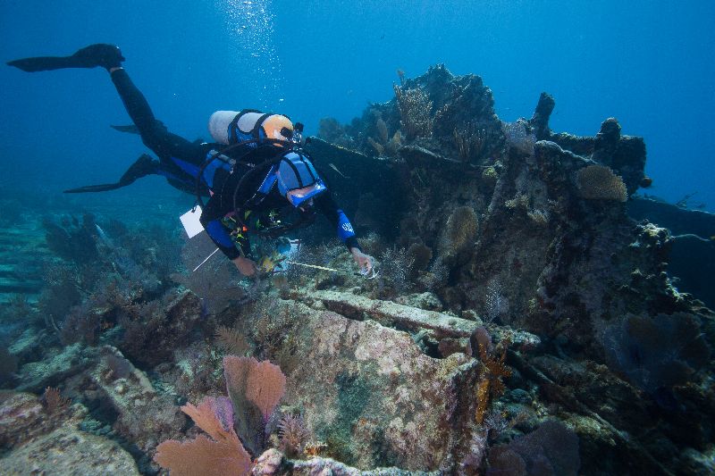Hannah M Bell - A diver swims close to what's left of "Mike's Wreck"