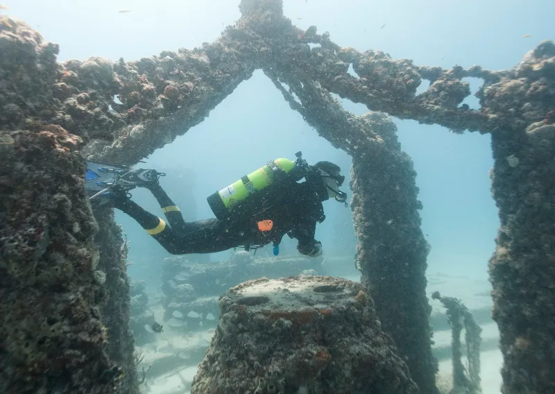 Neptune Memorial - A diver hovers over one of the altars