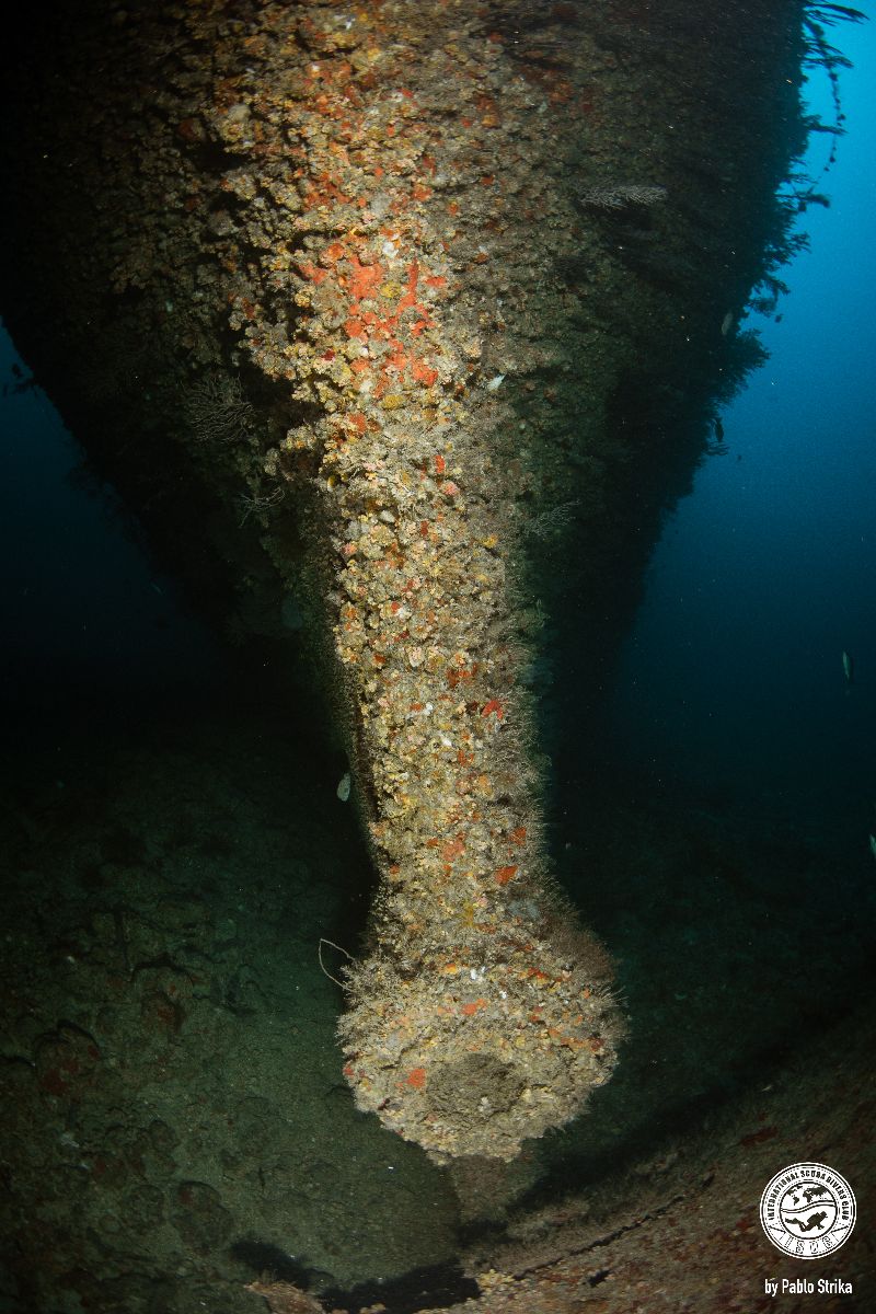 Skycliffe - The prop was removed before sinking