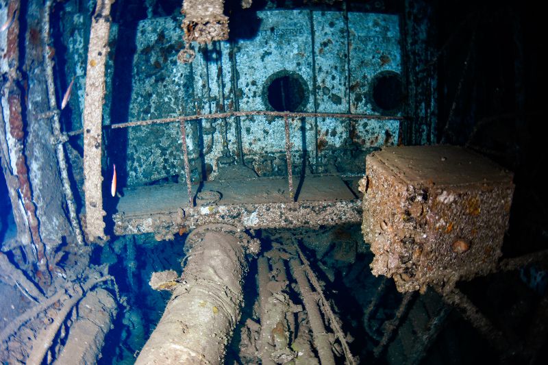 Skycliffe - Given its depth, the interior of the wreck is very well preserved