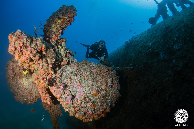Bibb - The portside propeller
