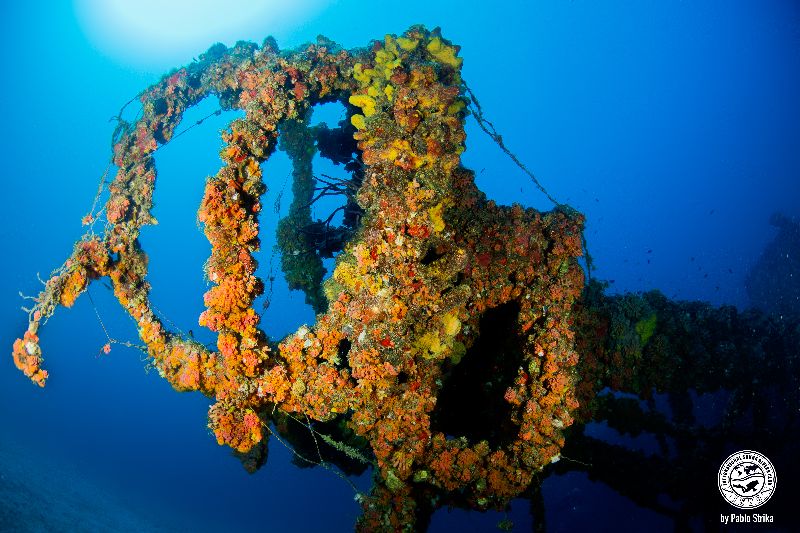 Bibb - The crow nest is fully colonized by coral formations