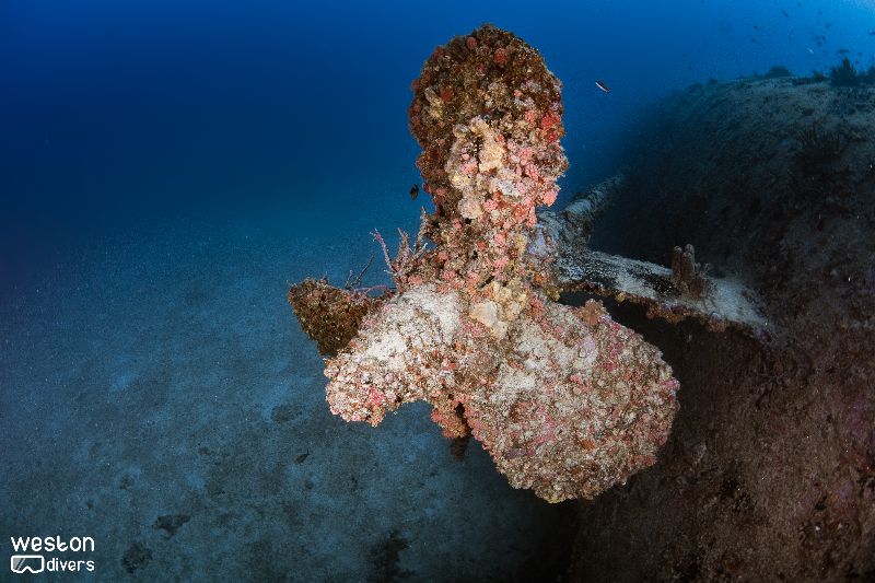 Bibb - The propeller offers a great picture opportunity