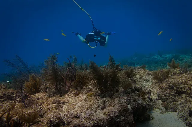 Snapper Ledge - A diver breathing from a surface air system - aka "hookah"