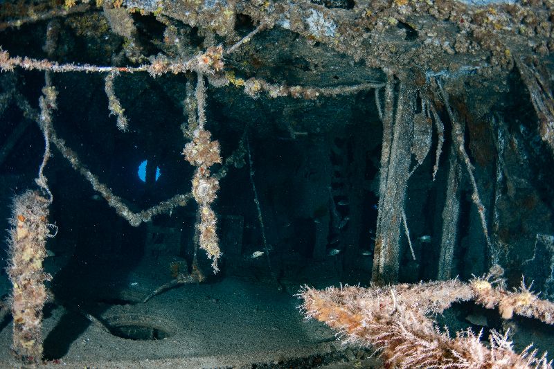 Captain Dan - Divers should be careful about entanglements.