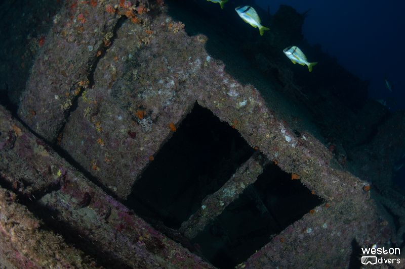 Rodeo 25 - This wreck very little opportunity for penetration. It's received a lot of damage in the last couple of years