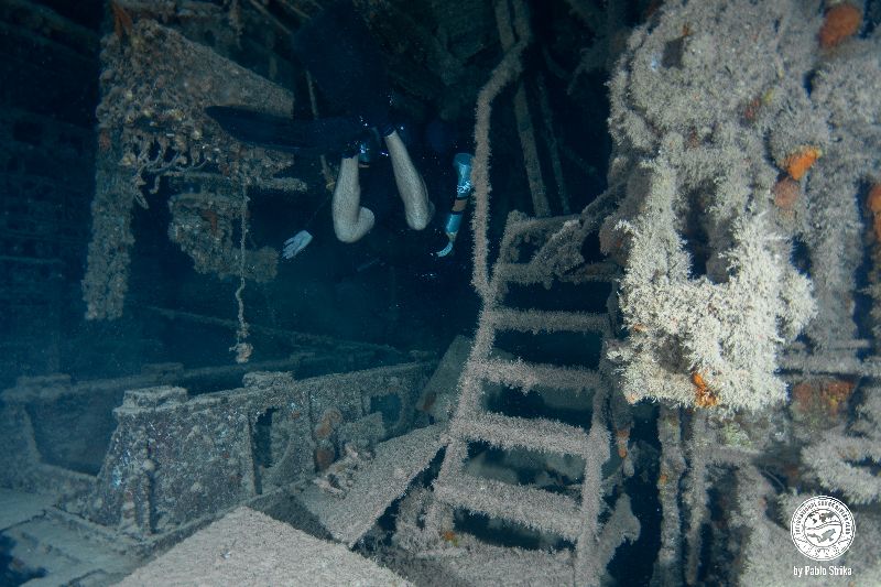 Sucre - The wreck offer penetration opportunities: a diver explores the engine room