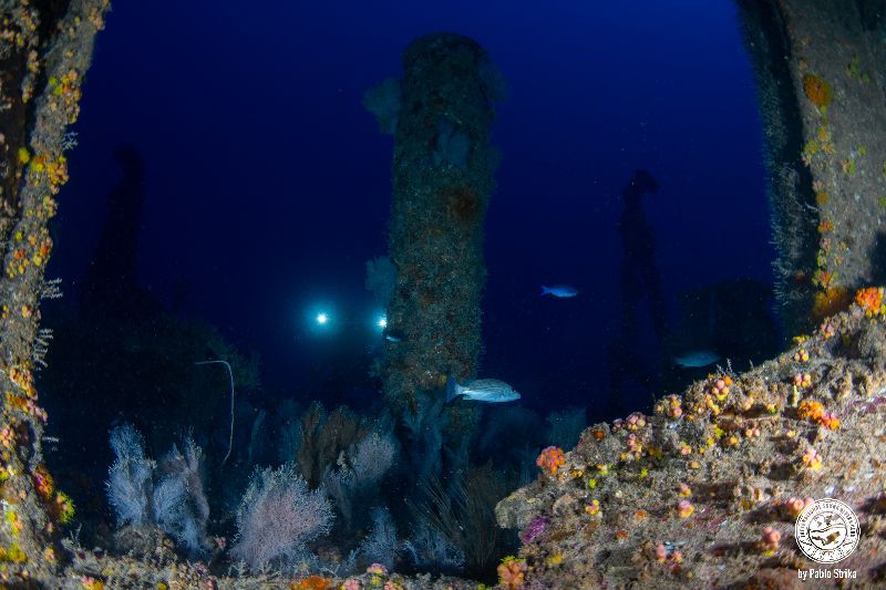 Sucre - Given its depth, this site tends to be dark