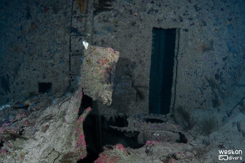 Ande - There are many sharp edges in this wreck. Divers shall take extra caution