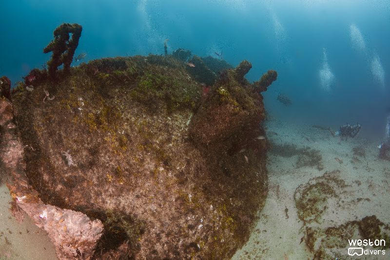 Zion Train - Another view of the stern section of the wreck