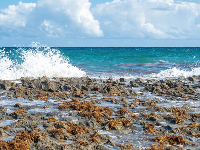 Ocean Reef Park - Very shallow reef that parts ger often above the sea level