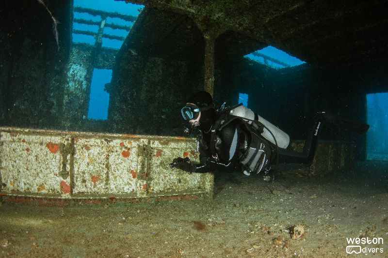 Ana Cecilia - A diver explores the interiors of the wreck