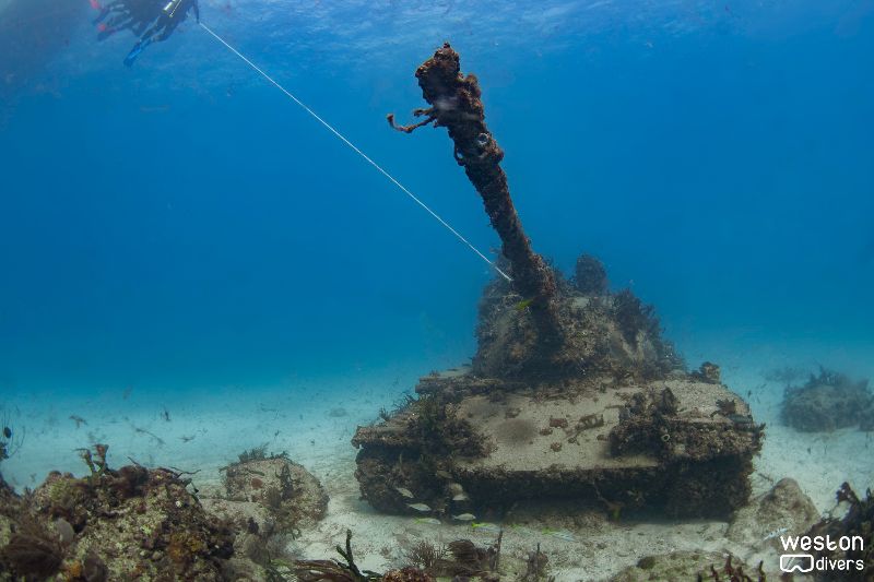 Army Tanks - The cannons of the tanks rise close to 30 feet under water