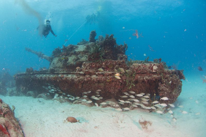 Army Tanks - Both tanks are connected with piles of limestone