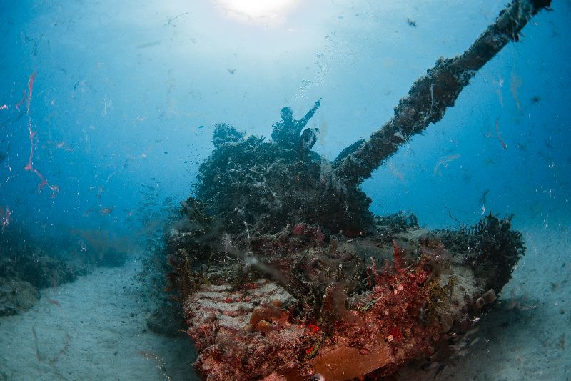 Army Tanks - Marine life is abundant. And it is said there still is one captain living in one of the tanks