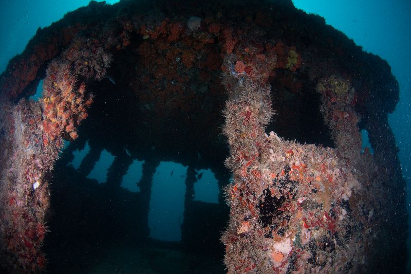 Ken Vitale - Fully colonized by corals. Barracudas tend to chill out in here