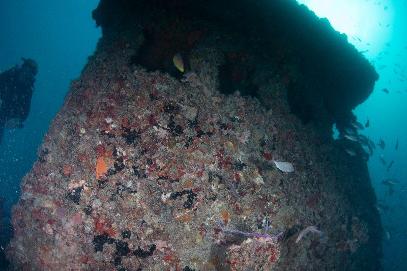 Ken Vitale - Another view of the wheelhouse