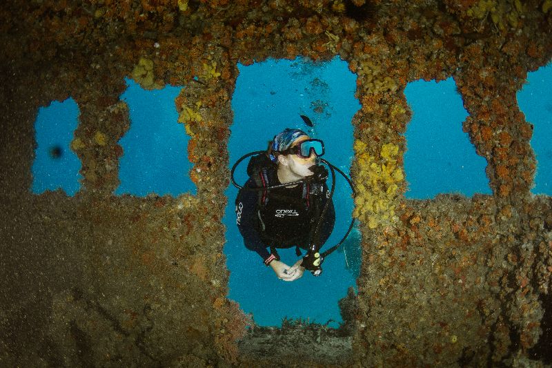 Ken Vitale - A diver visits what's left of the bridge